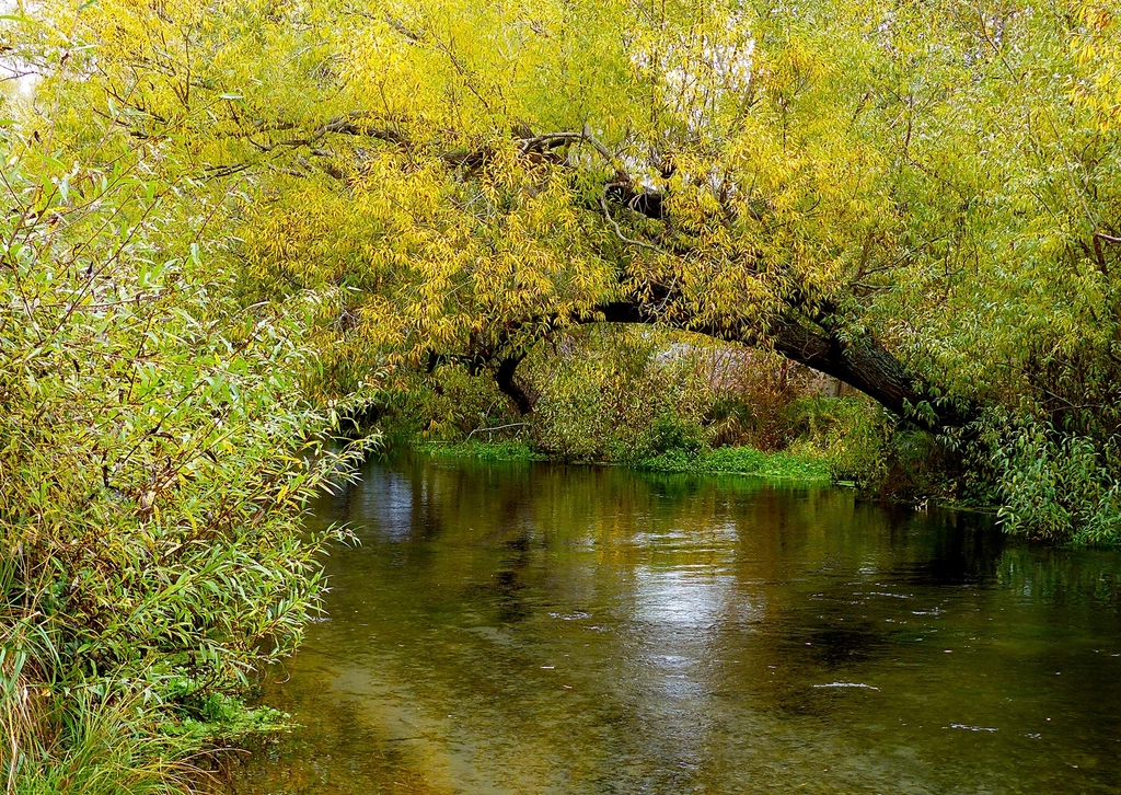 The Life Force of Whenua: Māori Connection to the Land (image credits: rawpixel)