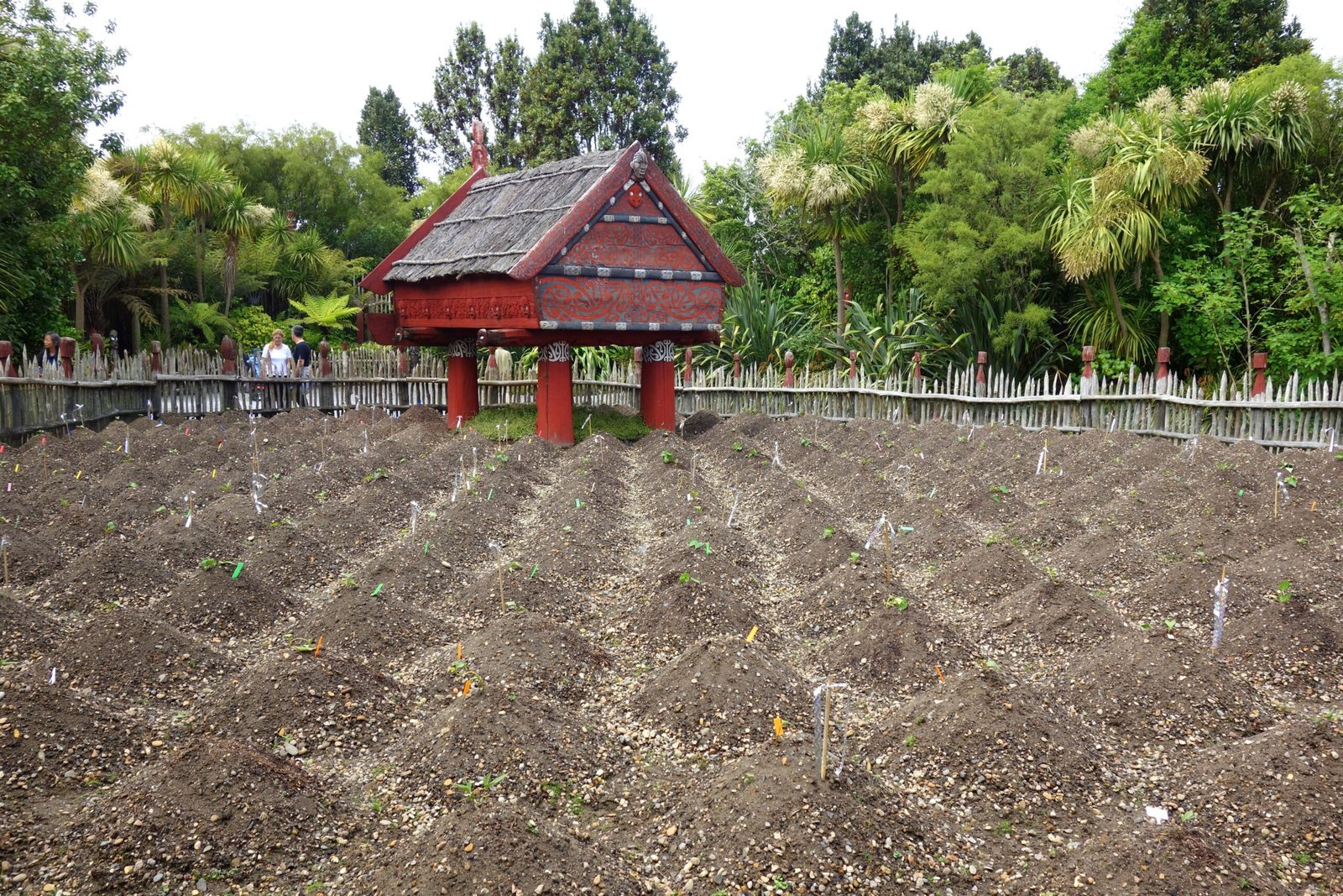 Kaitiakitanga: Guardianship and Sustainable Practices (image credits: wikimedia)
