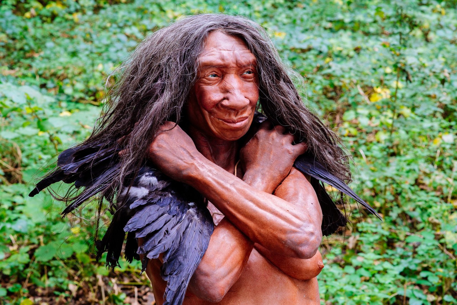 Denisovans and Neanderthals: A Complicated Relationship (image credits: wikimedia)