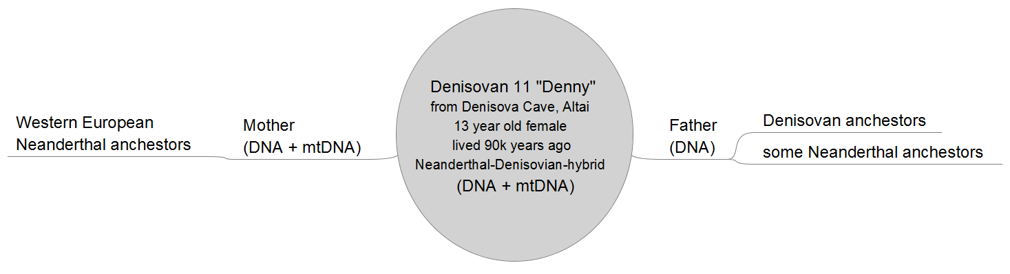 The Mystery of Denisovan Appearance: What Did They Look Like? (image credits: wikimedia)