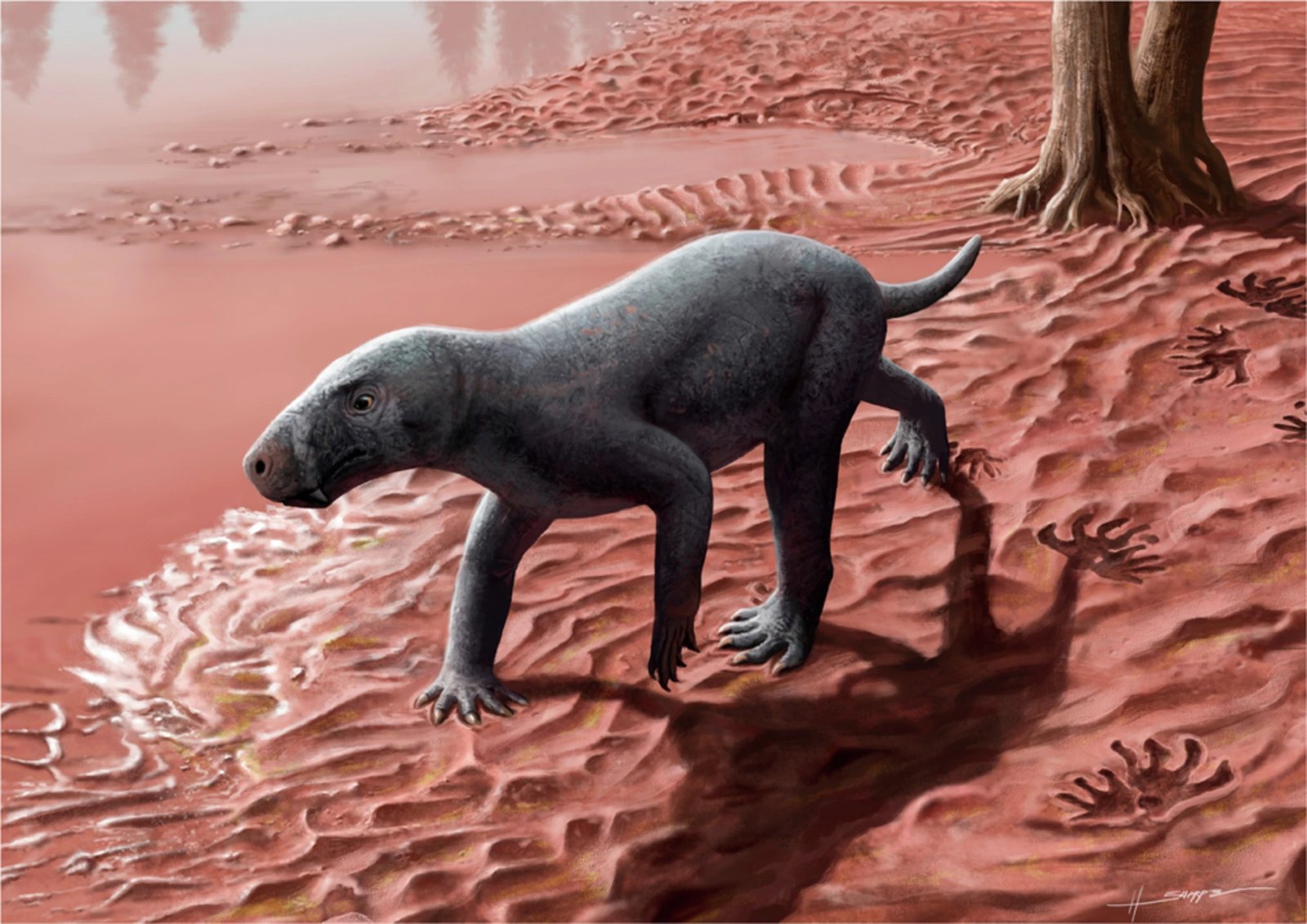 Body Structure and Physical Appearance (image credits: wikimedia)