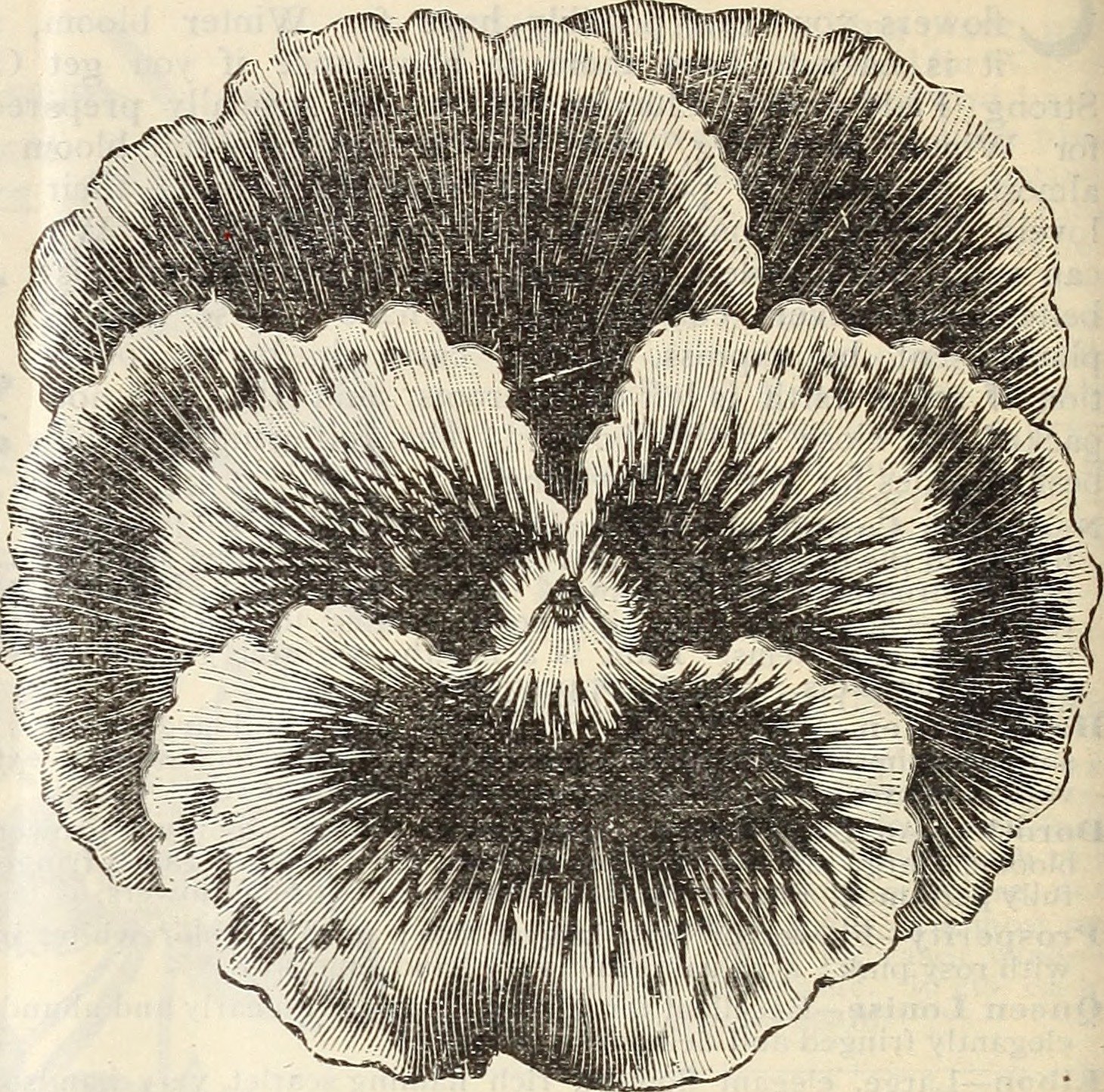 Biodiversity Treasure Troves (image credits: wikimedia)