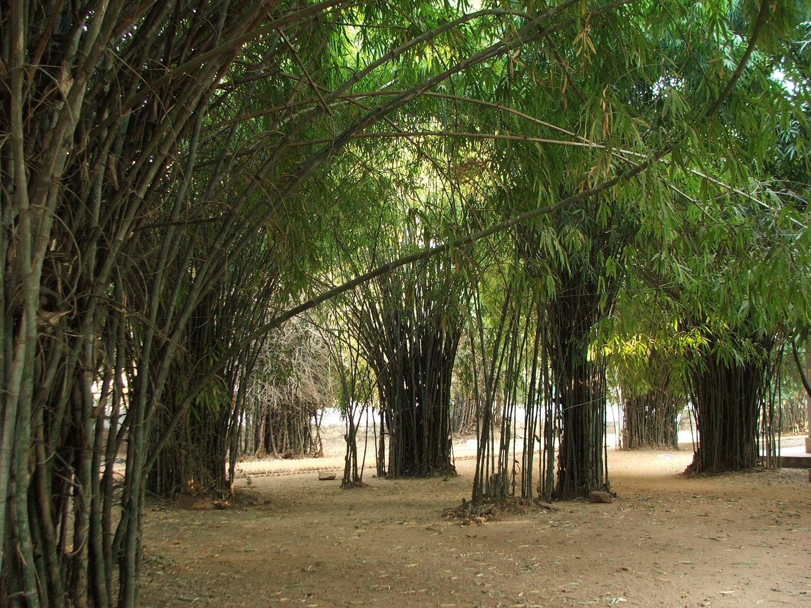 Traditional Conservation Practices (image credits: wikimedia)