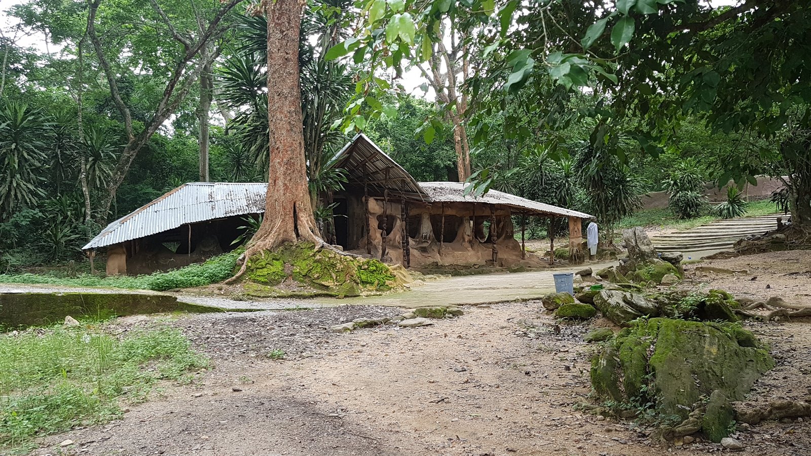 Threats Facing Sacred Groves (image credits: wikimedia)