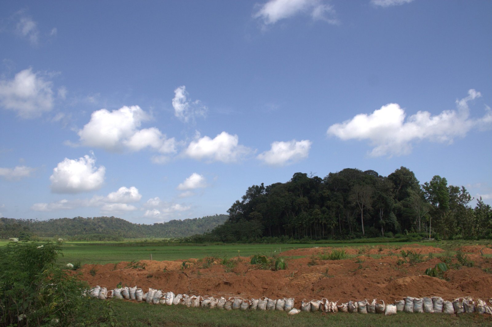 Modern Challenges and Conservation Efforts (image credits: wikimedia)
