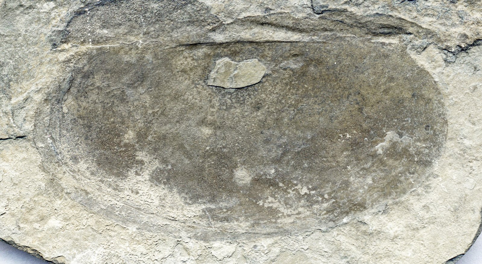 Lessons from a Lost World (image credits: wikimedia)