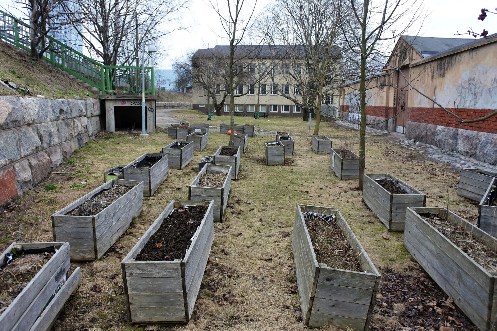 Challenges and Myths in Urban Rewilding (image credits: wikimedia)