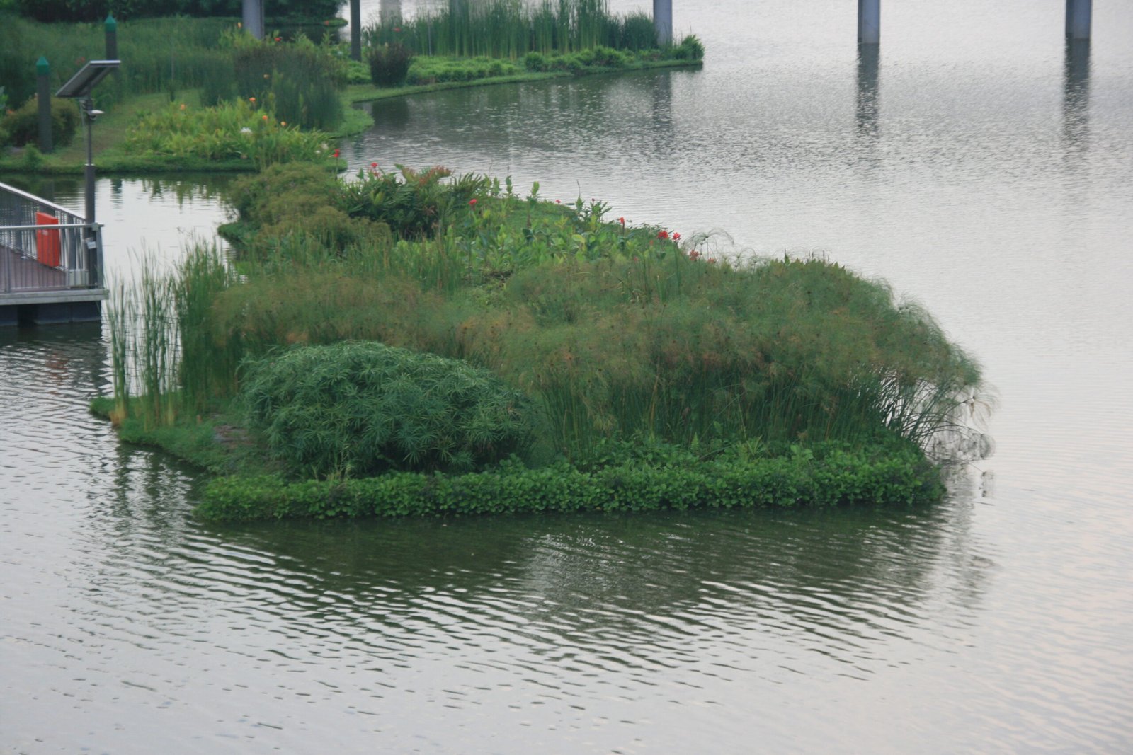 Real-World Success Stories (image credits: wikimedia)