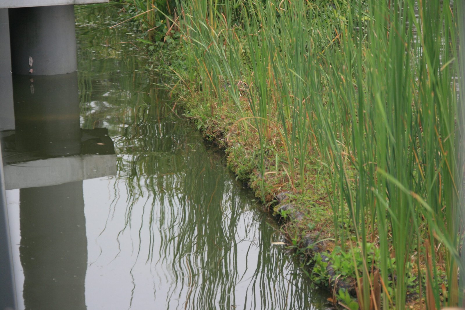 Designing Islands for a Changing Climate (image credits: wikimedia)