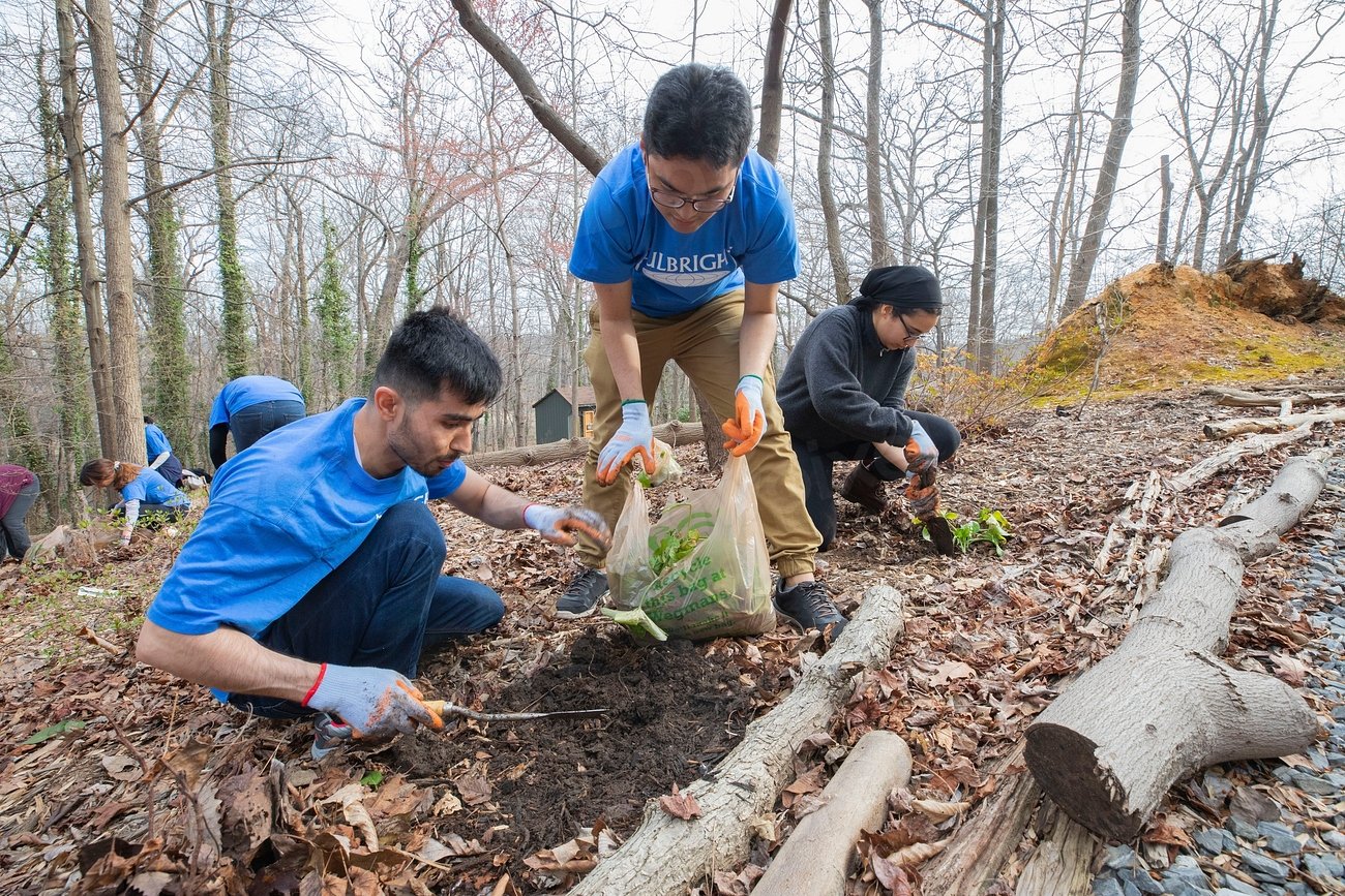 Community Involvement and Education (image credits: rawpixel)