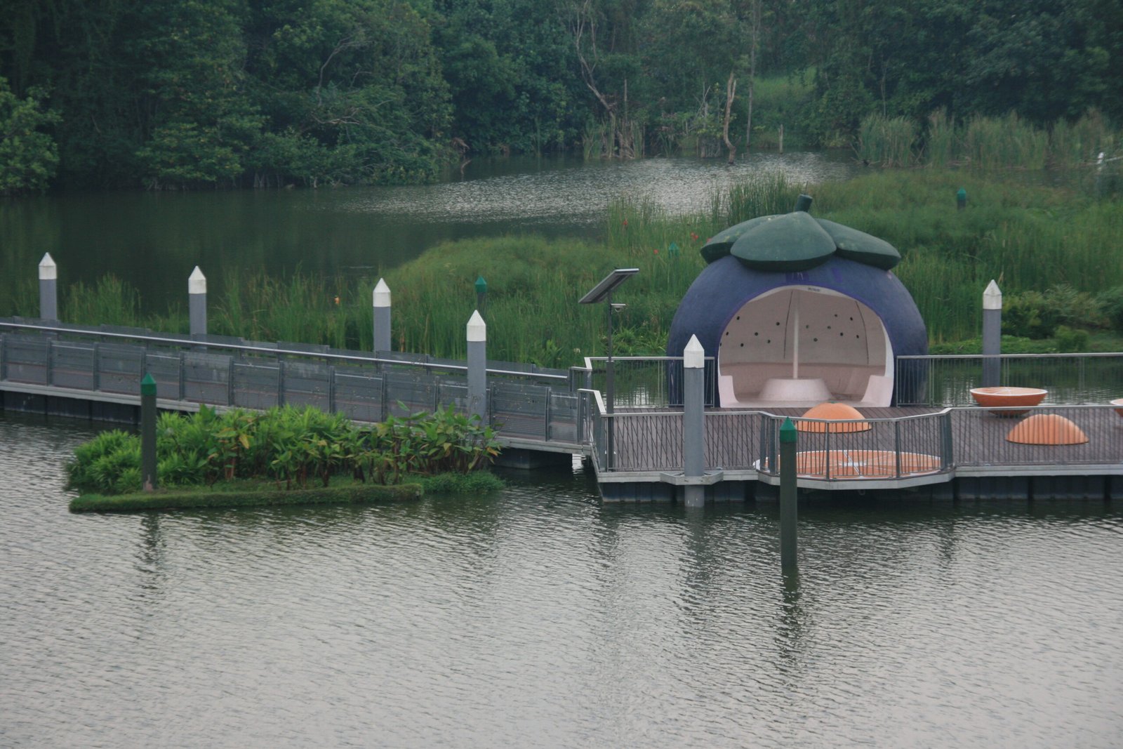 The Future of Floating Wetlands (image credits: wikimedia)