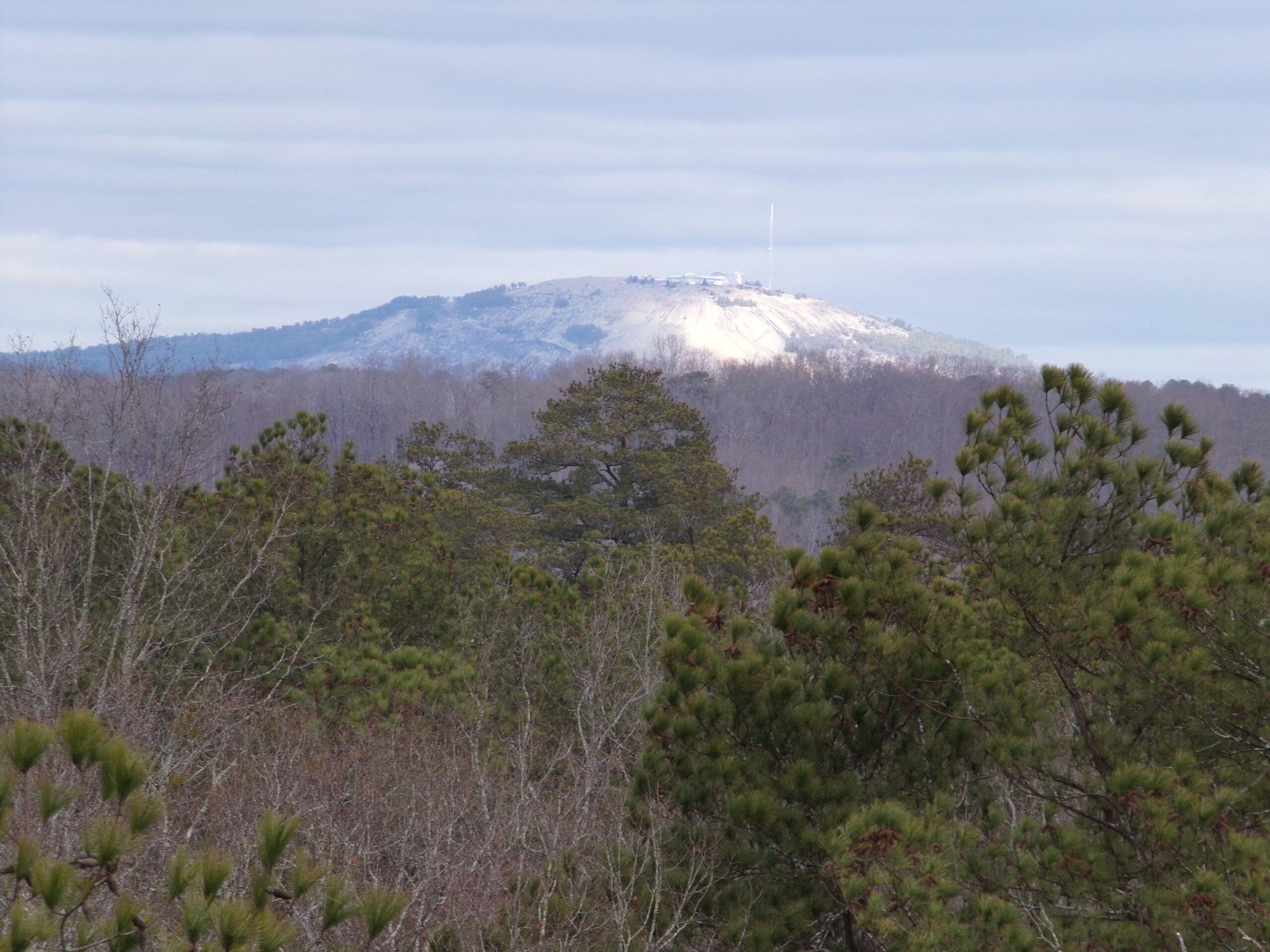 Efforts for Reinterpretation and Education (image credits: wikimedia)