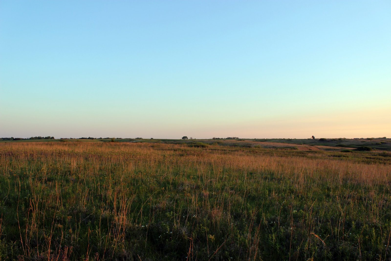 Challenges of Conservation and Climate Change (image credits: wikimedia)