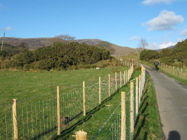 The Role of Community in Hedgerow Revival (image credits: wikimedia)