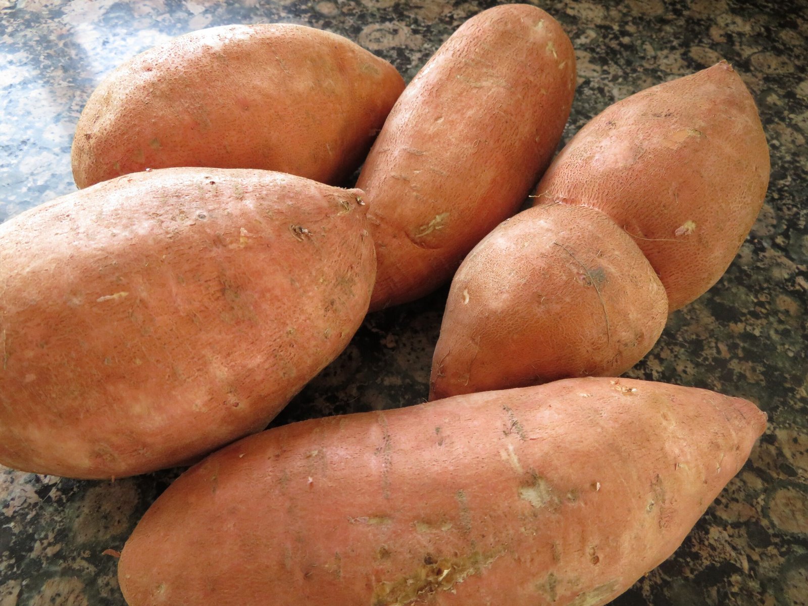 Kūmara: The Tuber That Traveled Across Oceans (image credits: wikimedia)