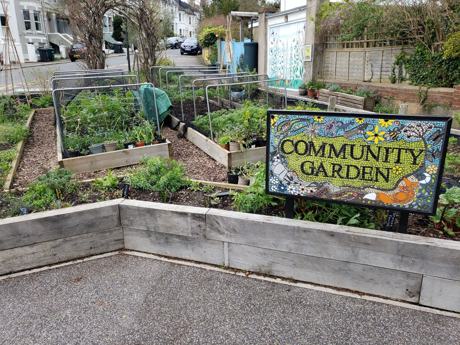 Community Gardens: Cultivating Heritage and Health (image credits: wikimedia)