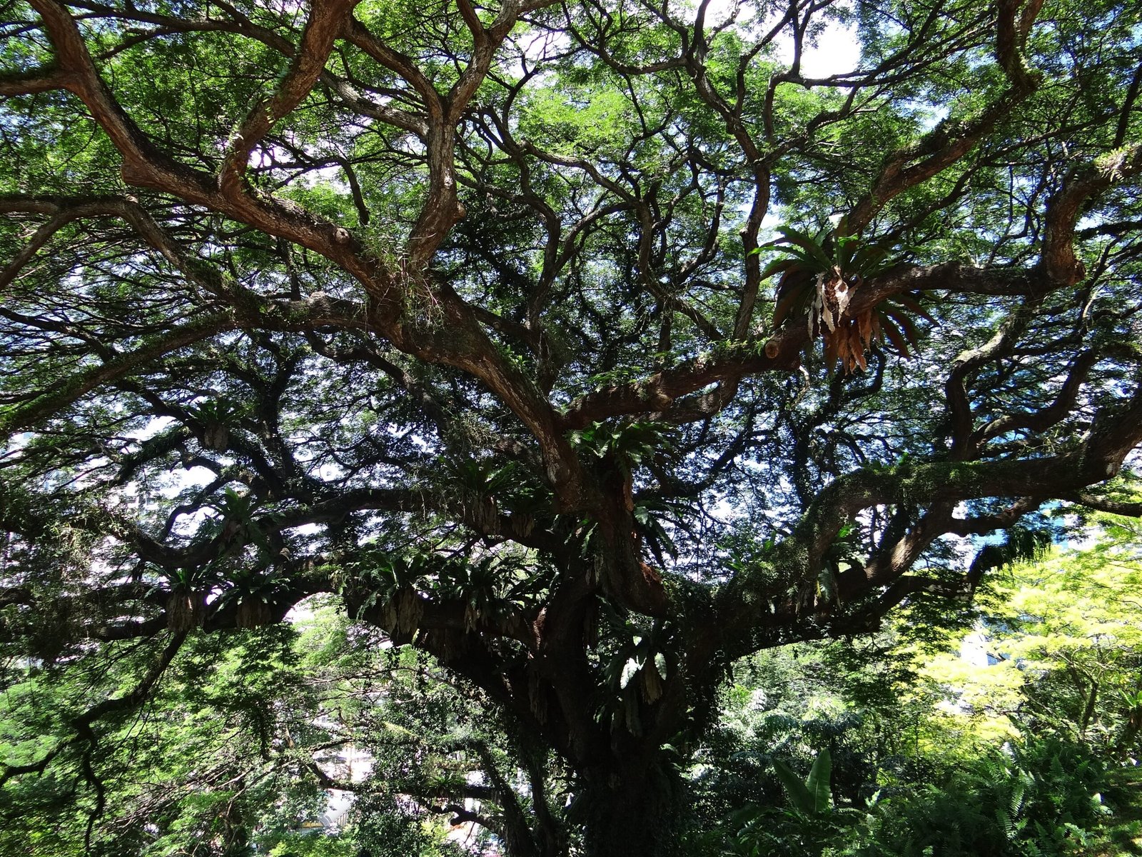 Personal Connections: Stories Rooted in the Land (image credits: wikimedia)