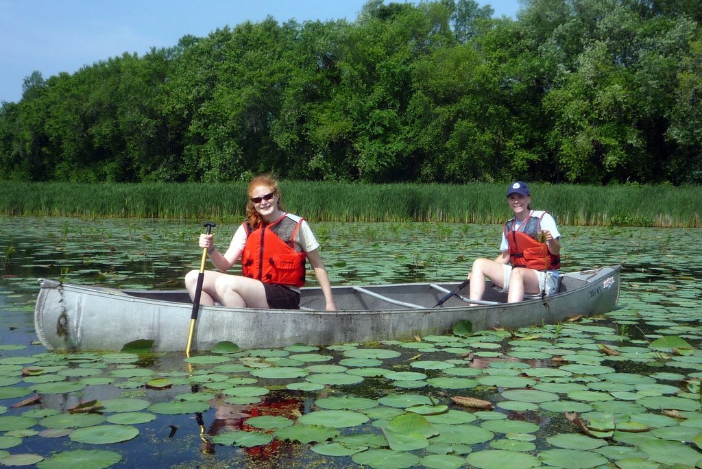 Fighting the Invaders: Battling Non-Native Species (image credits: wikimedia)