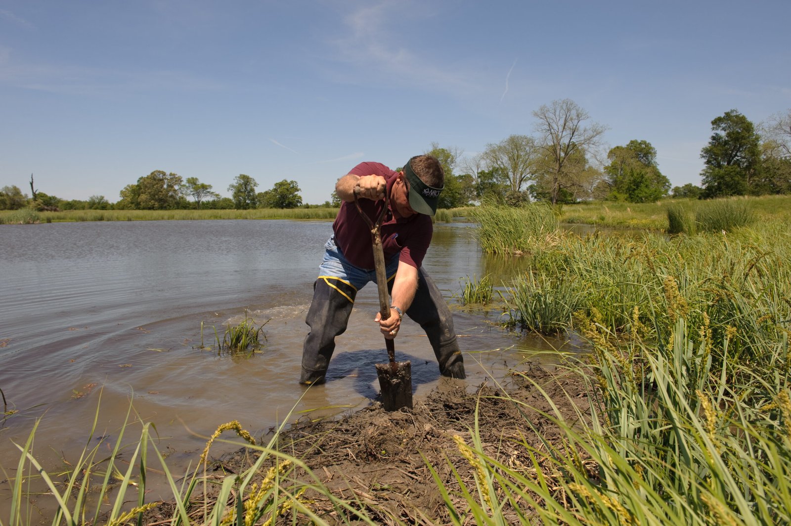 Science in the Soil: Modern Approaches to Restoration (image credits: wikimedia)
