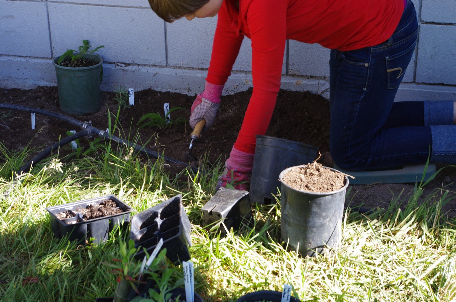 Gardeners at the Frontline: How You Can Help (image credits: wikimedia)