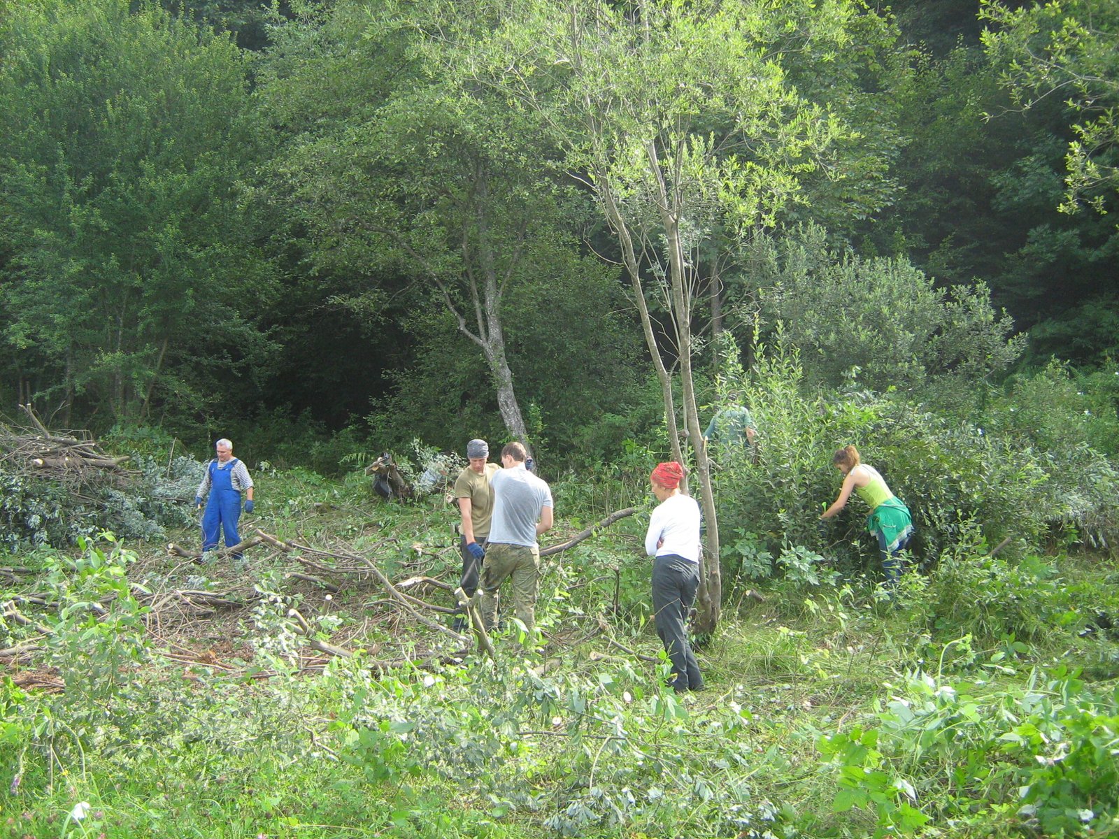 Community Involvement and Grassroots Solutions (image credits: wikimedia)