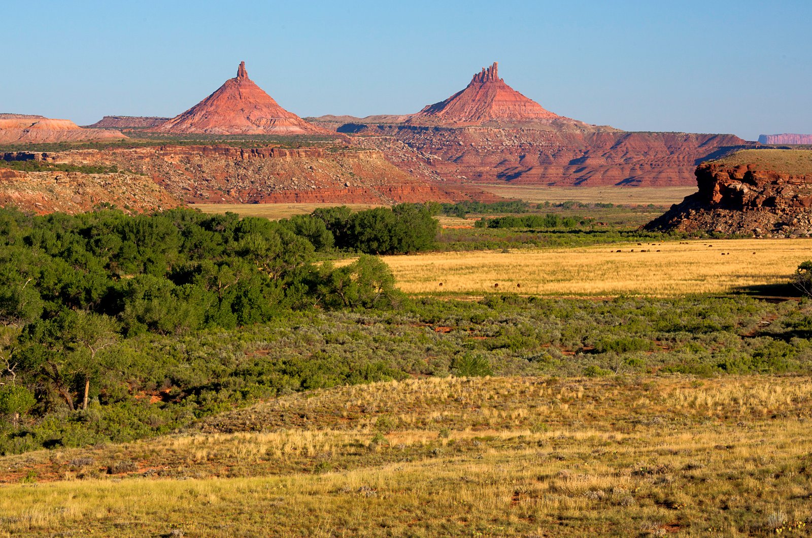 The Land of Bears Ears: A Landscape Like No Other (image credits: wikimedia)