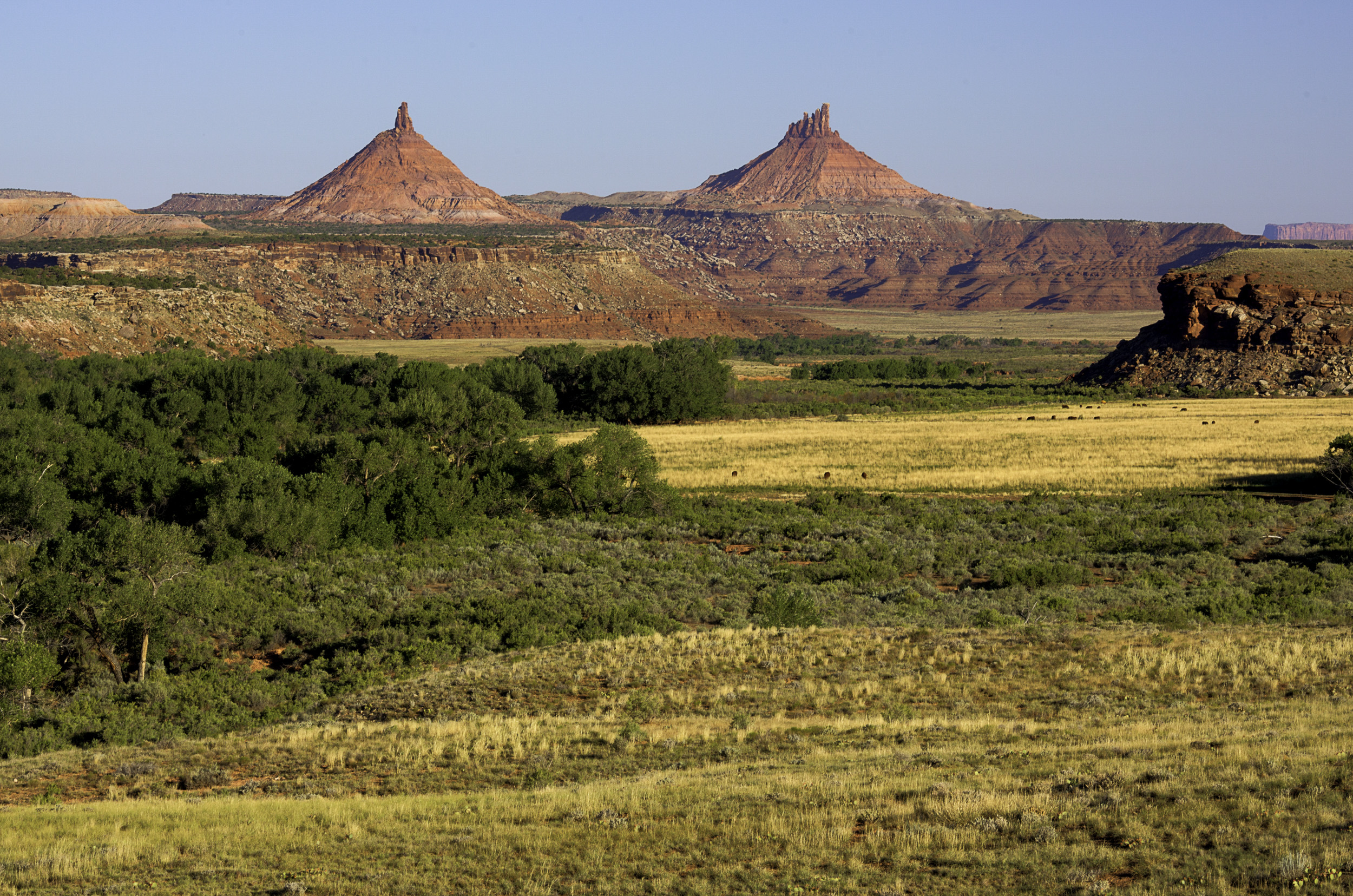 Bears Ears National Monument: Sacred to Tribes, Battleground for Bureaucrats