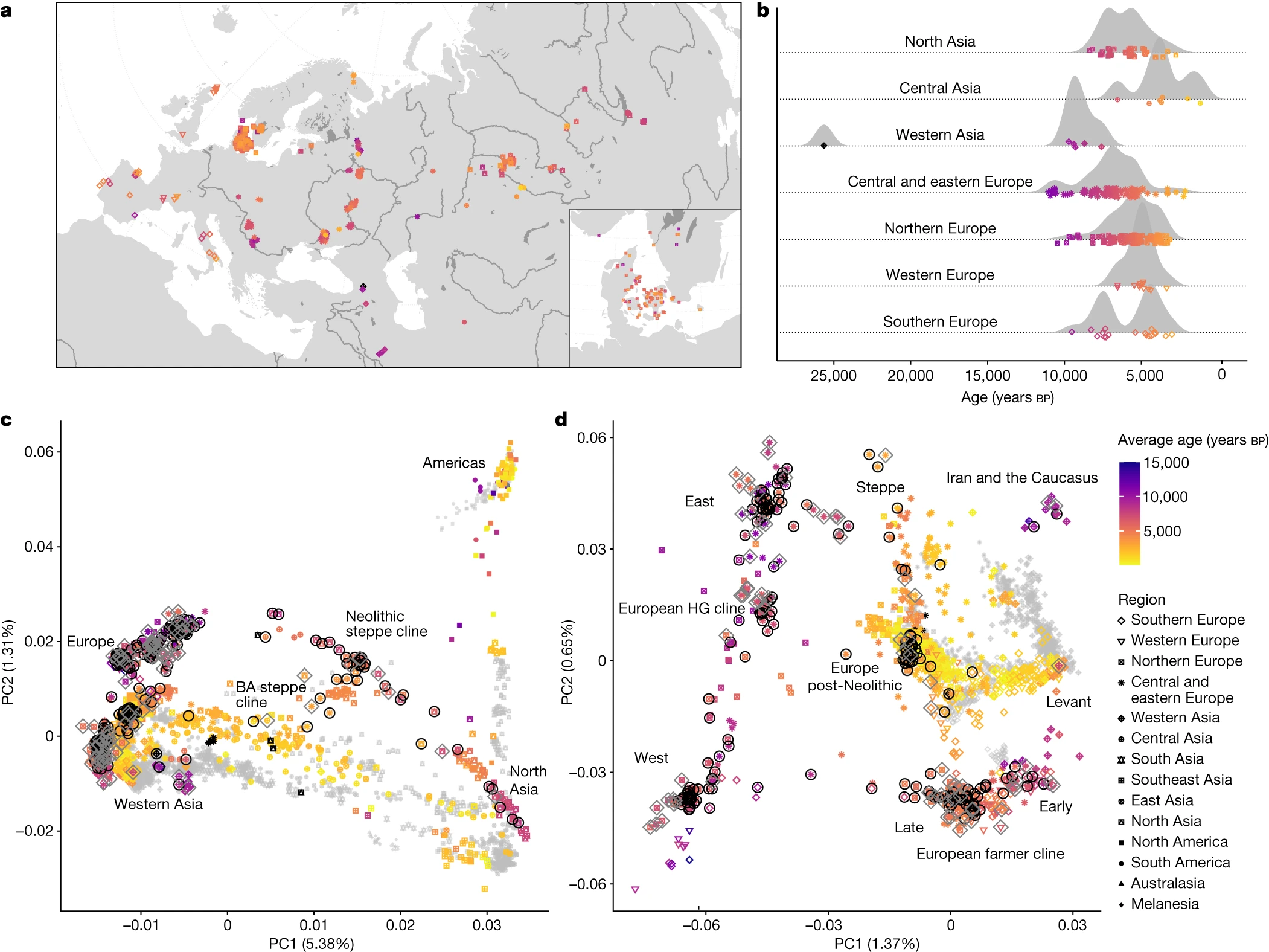 FOXP2 in Modern Populations: Diversity and Variation (image credits: wikimedia)