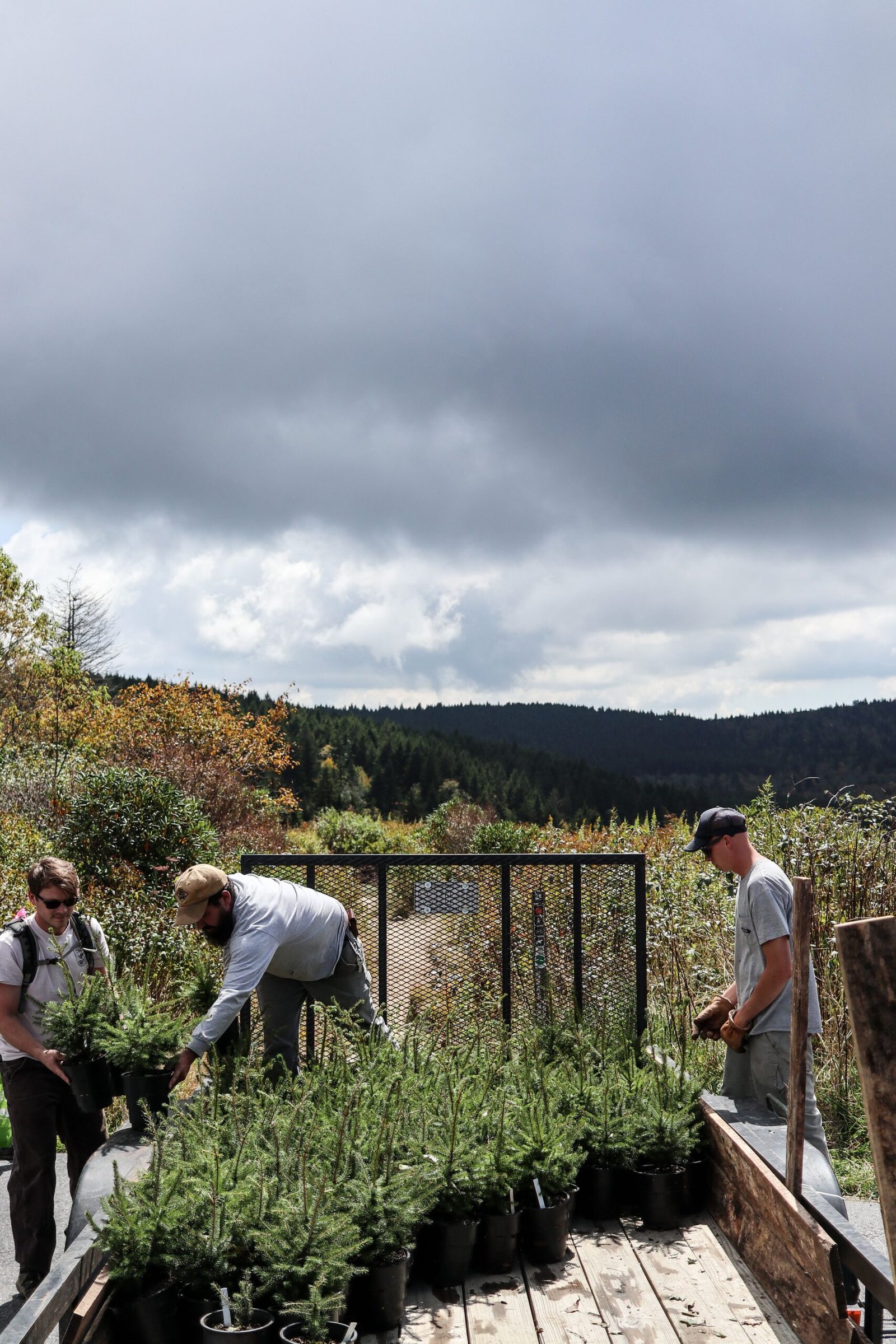 Challenges and Conservation (image credits: wikimedia)