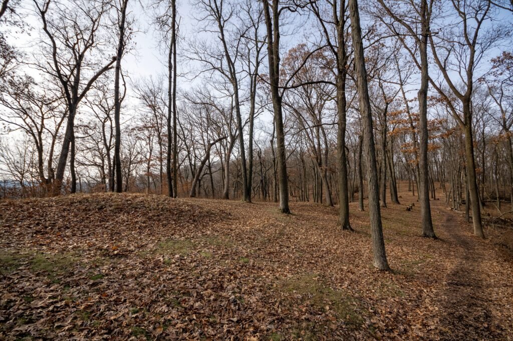 Engineering Marvels: The Earthworks of Poverty Point
