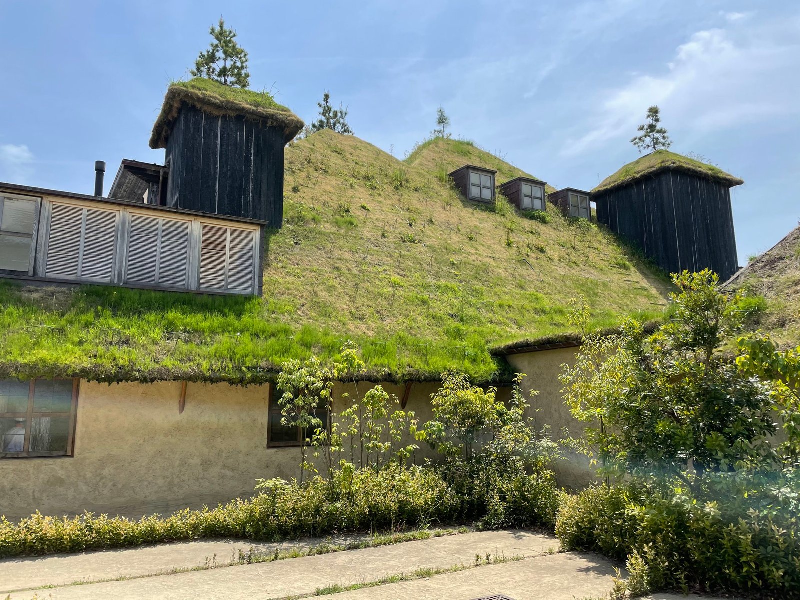 Cooling the City, One Roof at a Time (image credits: wikimedia)
