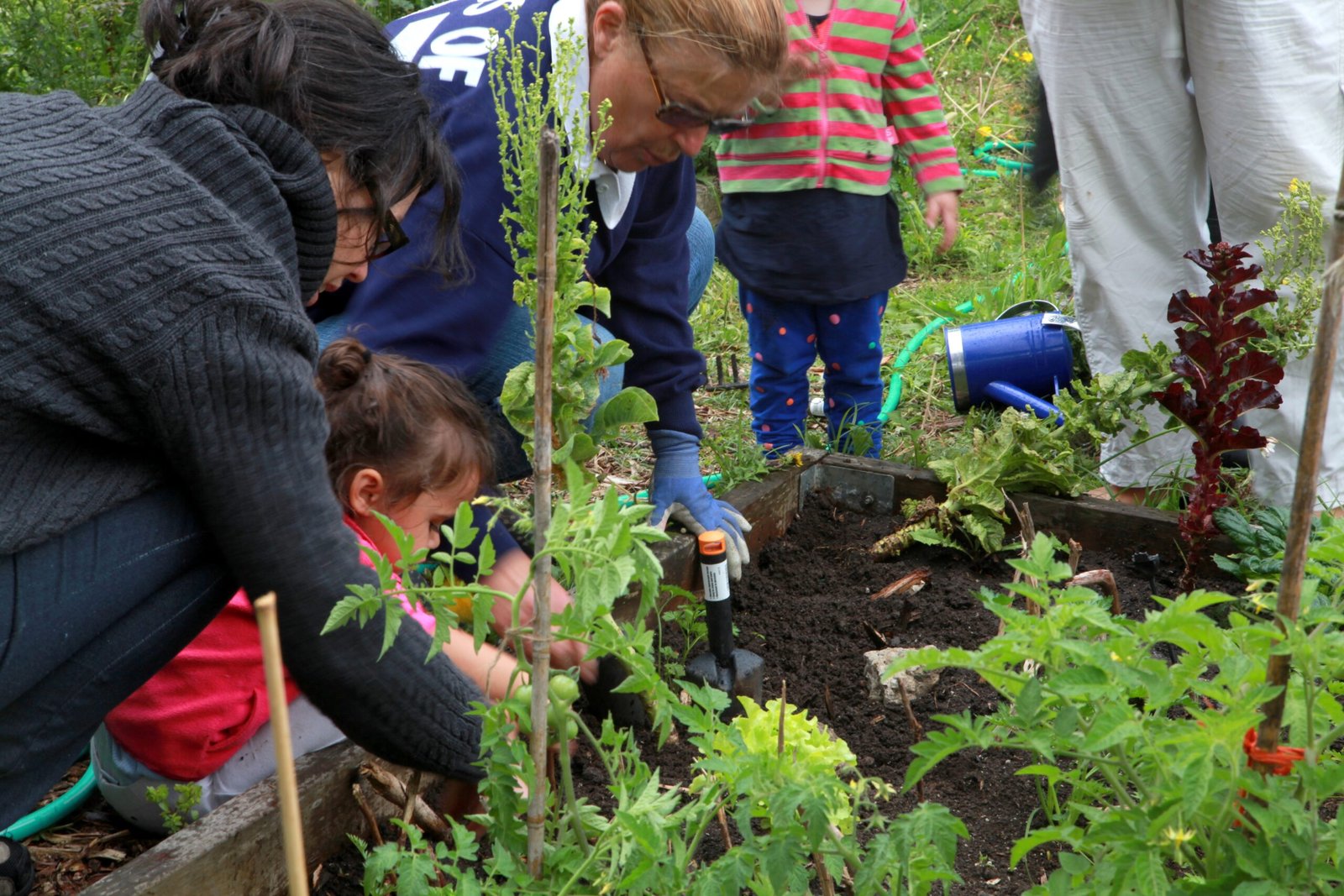 Community Involvement and Ownership (image credits: wikimedia)