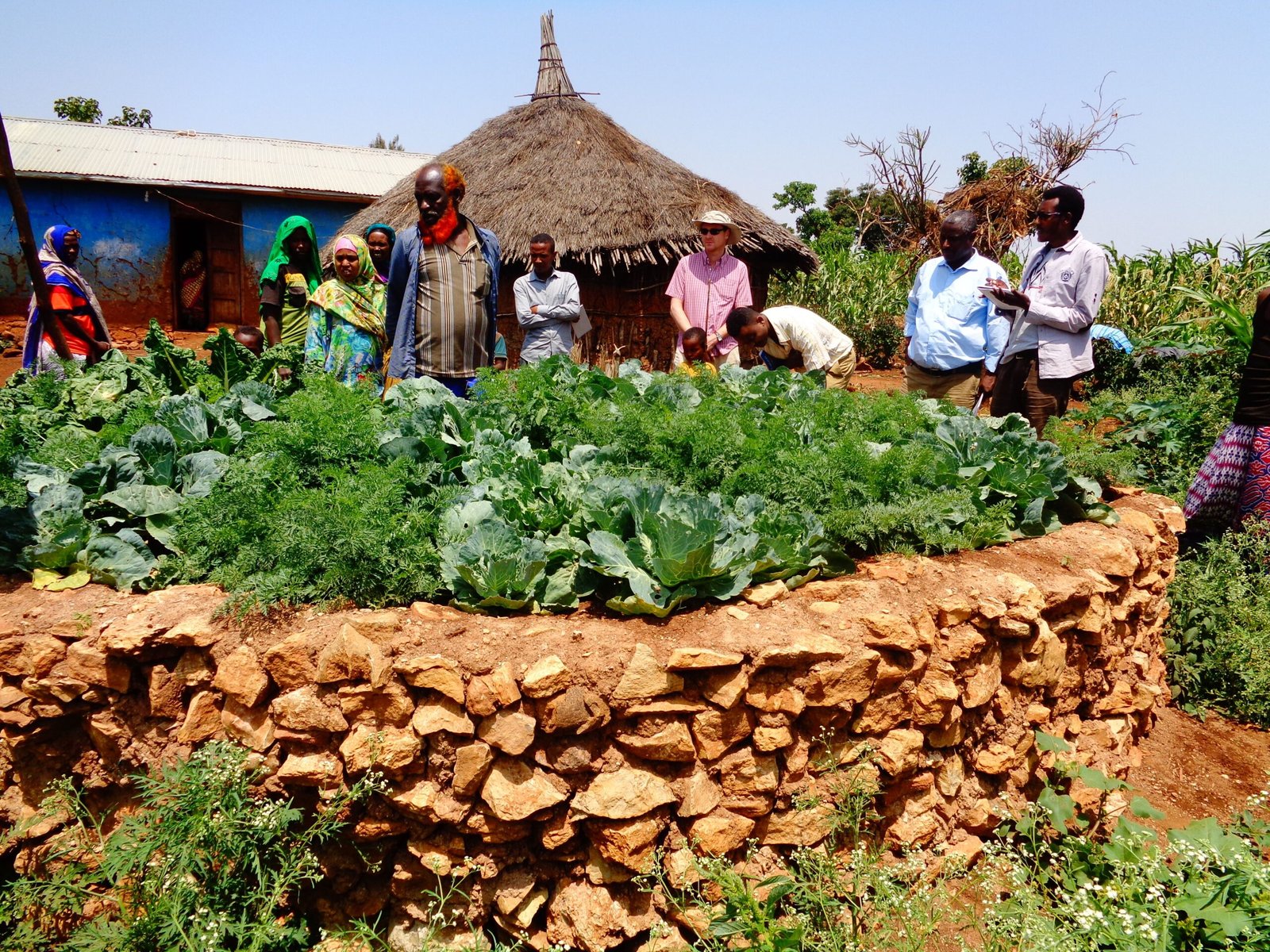 The Science of Adaptation and Resilience (image credits: wikimedia)