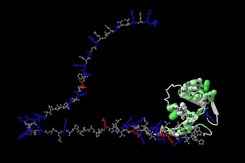 Proteins That Don’t Fall Apart (image credits: wikimedia)