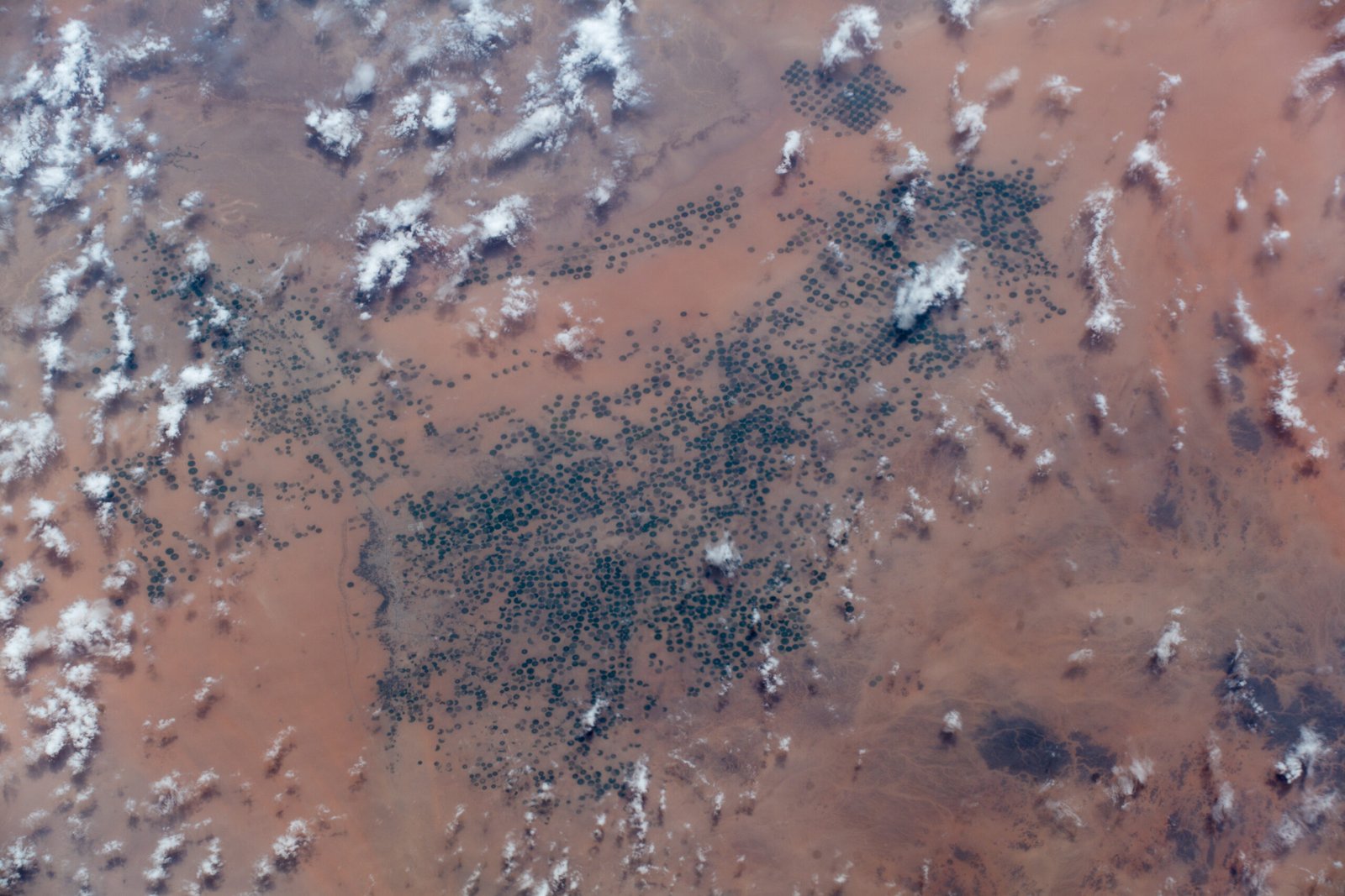 Social Structure and Water Management (image credits: wikimedia)