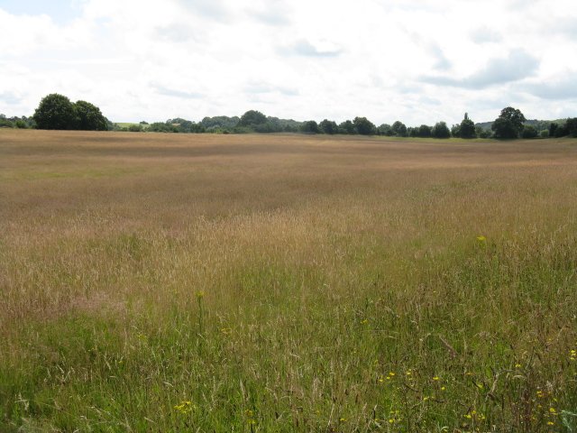 Grassland Ecosystems: Fragile and Unique (image credits: wikimedia)
