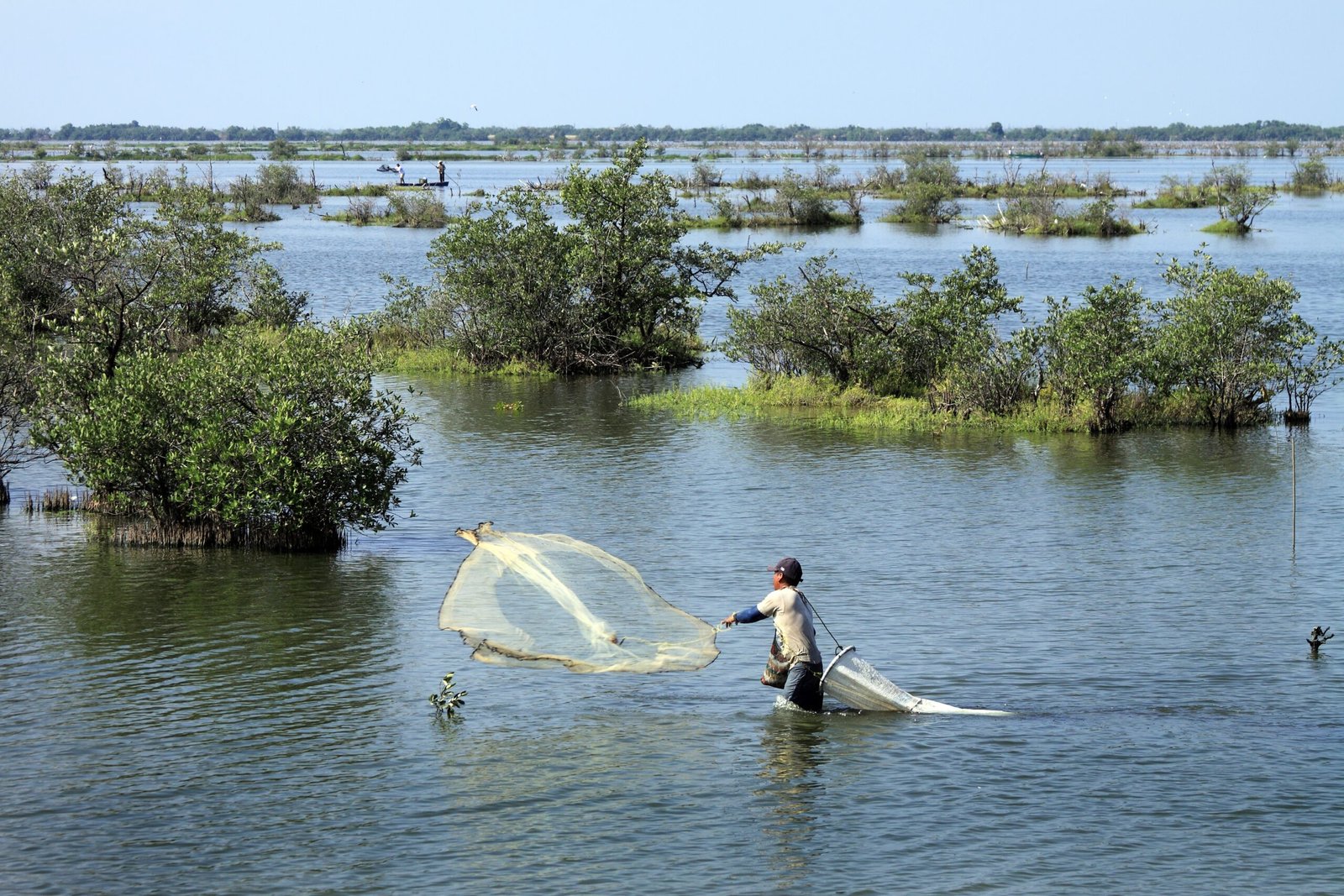 The Global Scale of Shrimp Consumption (image credits: wikimedia)