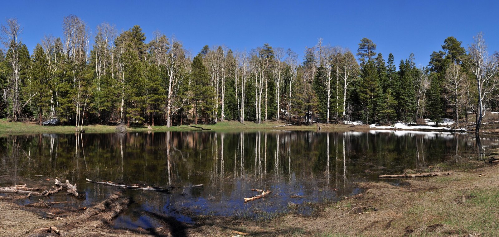 The Formation of a Massive Sinkhole (image credits: wikimedia)