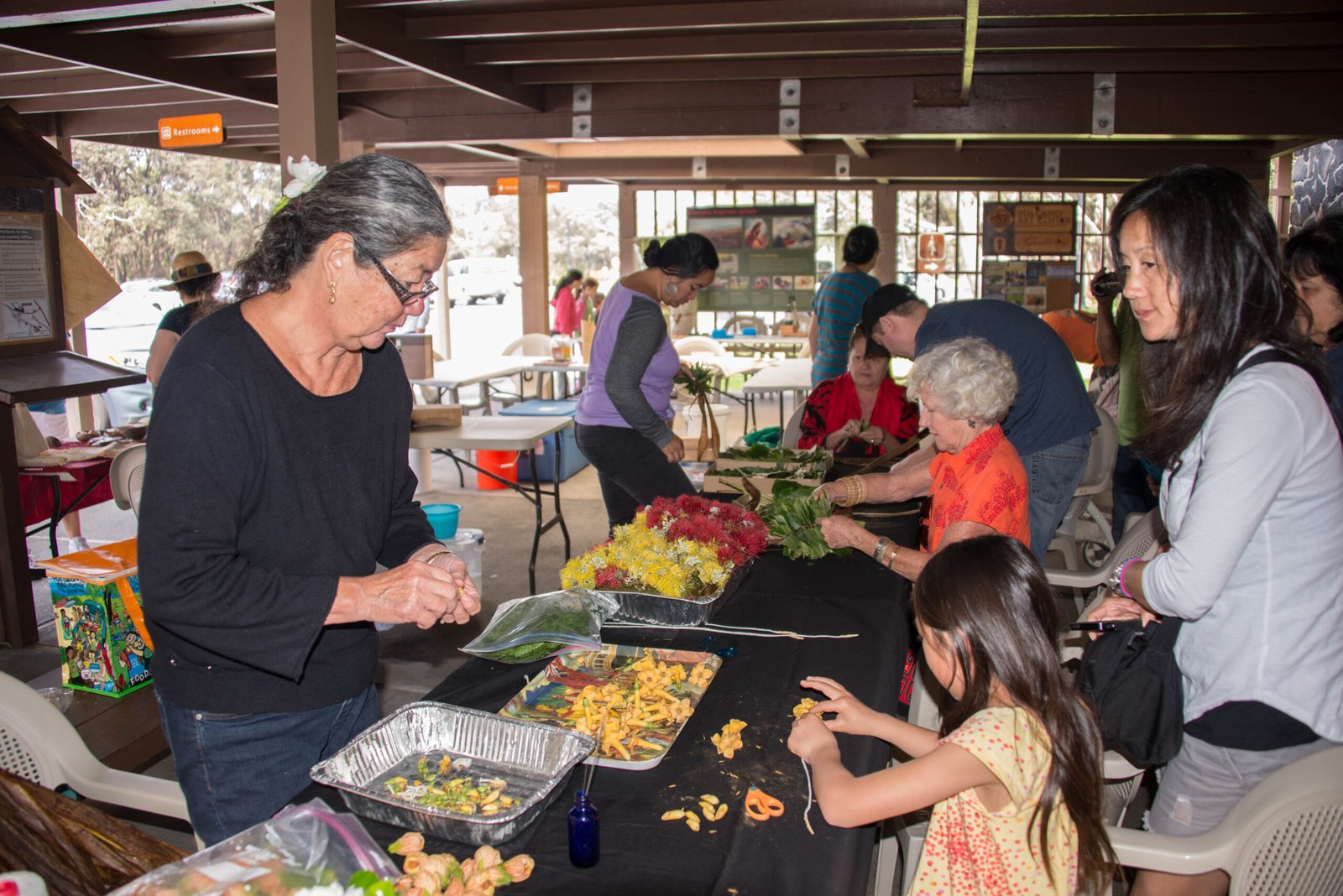 Ecological Lessons from Lei-Making (image credits: wikimedia)