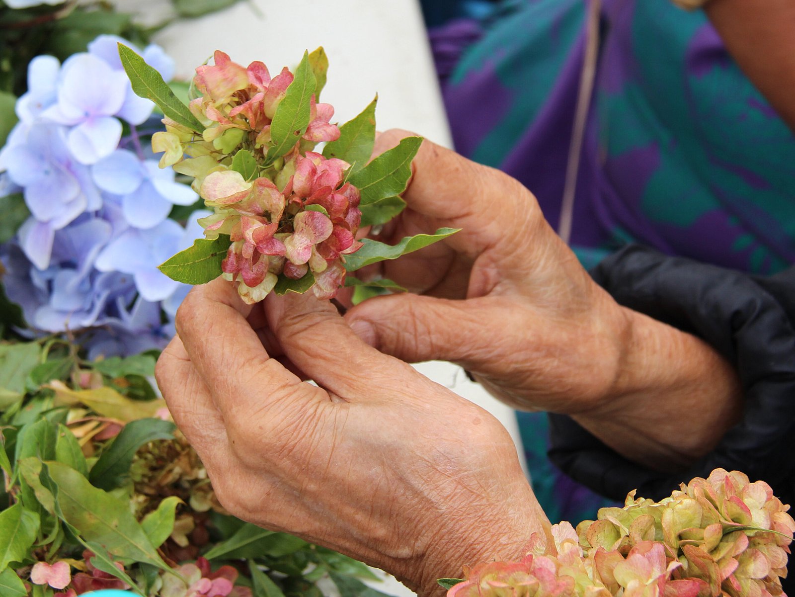 The Future of Lei: Innovation and Adaptation (image credits: wikimedia)