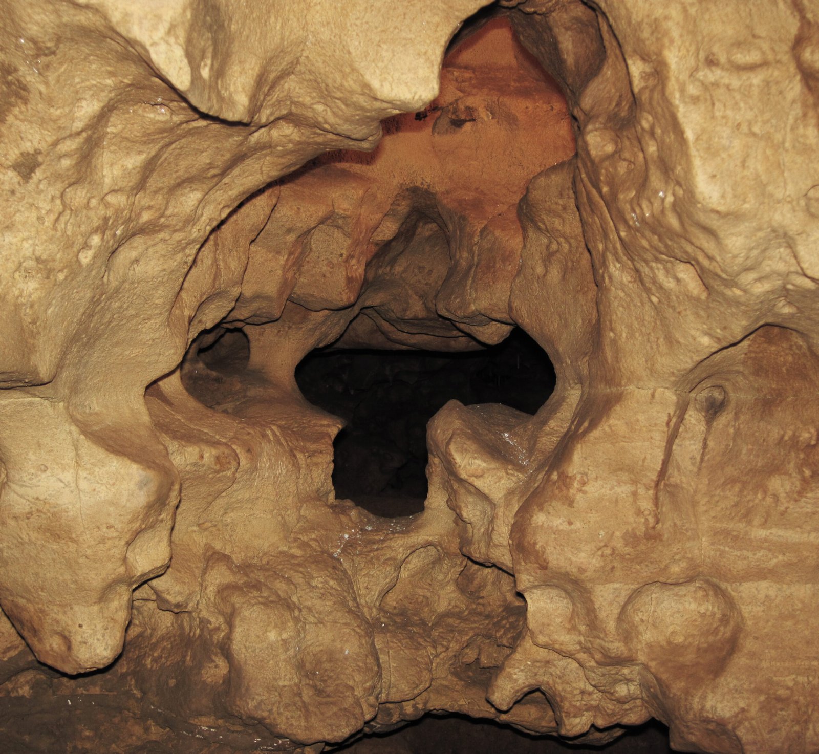 Above and Below: The Park’s Living Landscape (image credits: wikimedia)