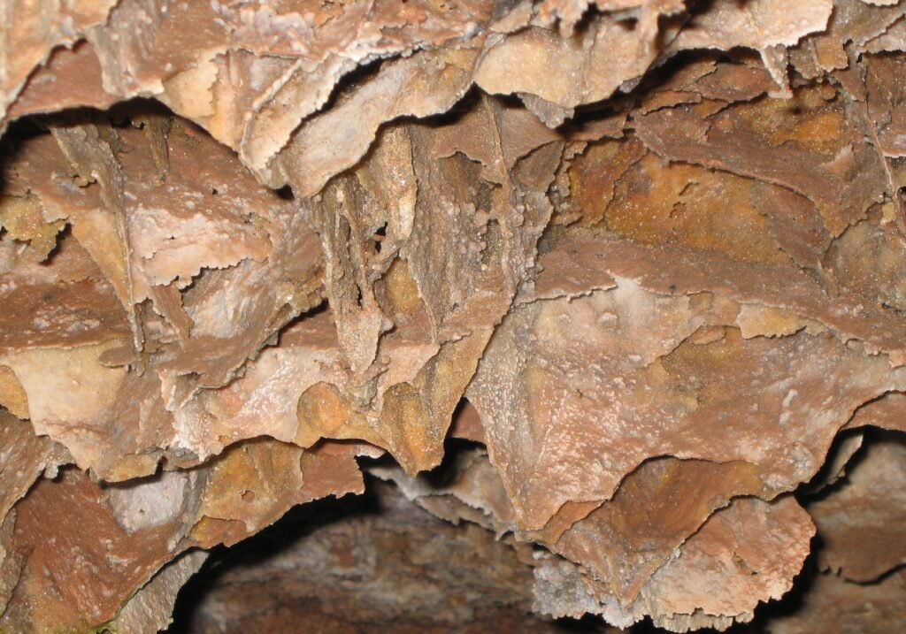Beneath the Black Hills: The Hidden Cave Systems of Wind Cave National Park