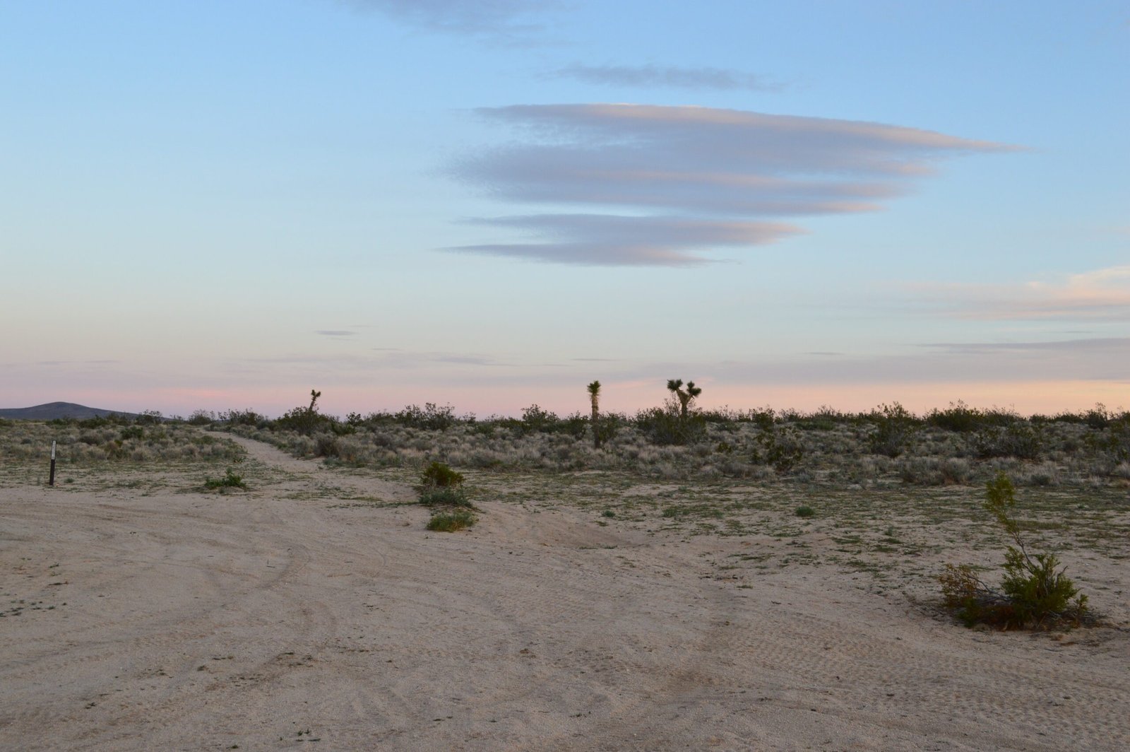 A Landscape Like No Other: Nature’s Hostile Embrace (image credits: wikimedia)