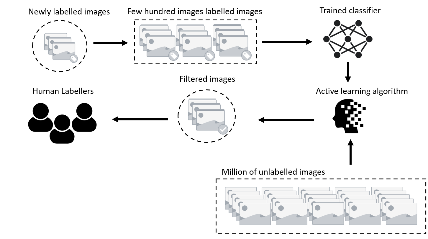 Transfer Learning: Teaching Old Dogs New Tricks (image credits: wikimedia)