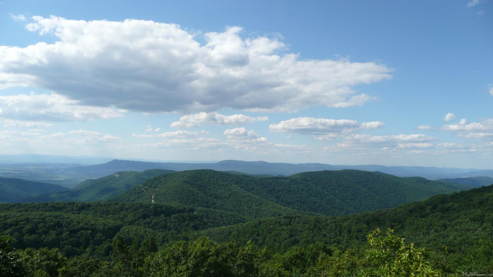 The Role of Isolation in Appalachia (image credits: wikimedia)