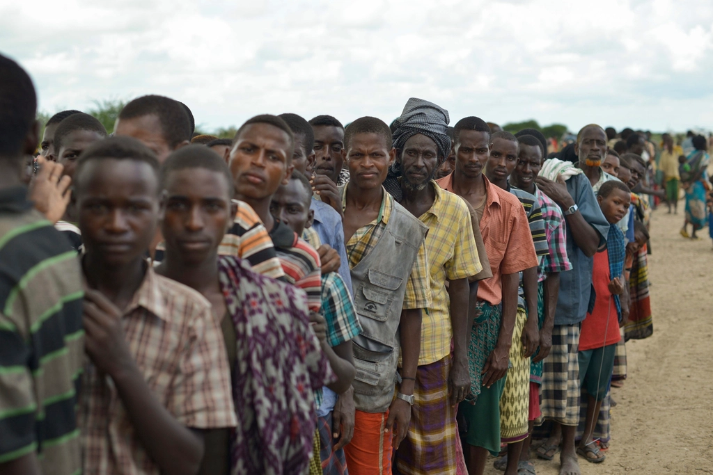The Human Cost: Stories Behind the Mistakes (image credits: rawpixel)