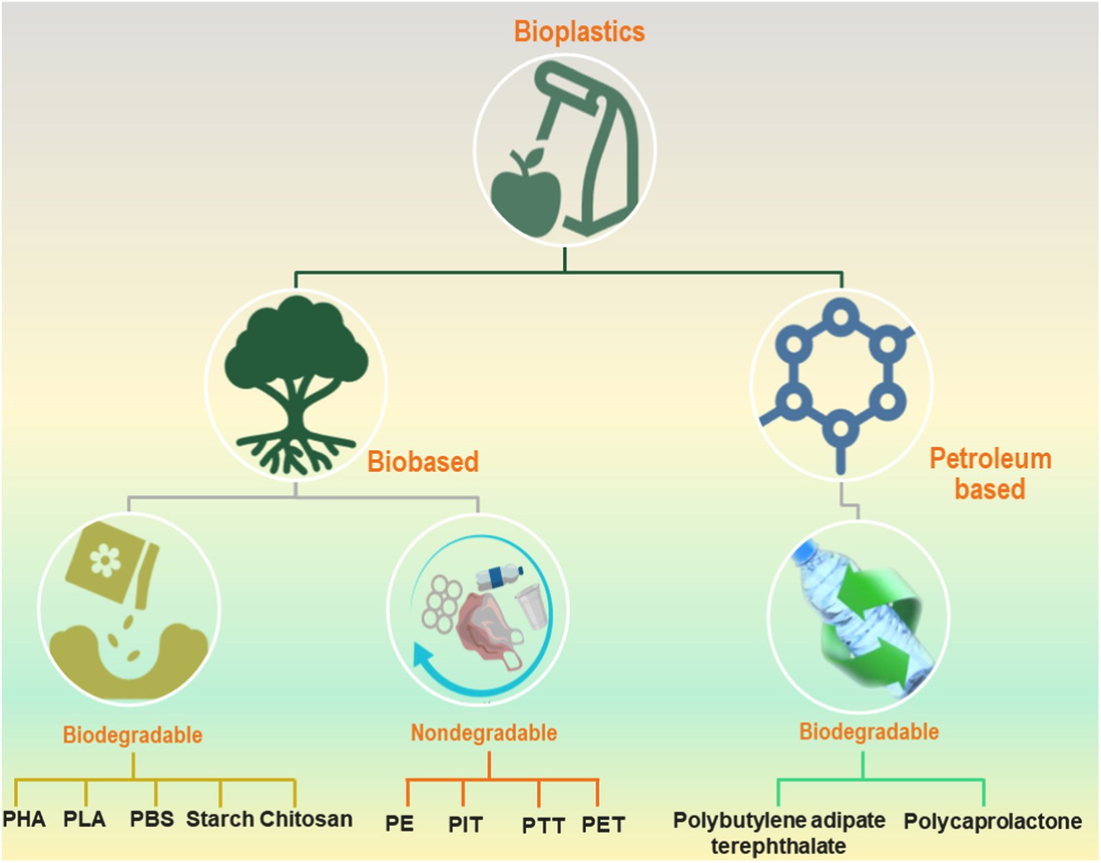 What Exactly Are Bio-Based Plastics? (image credits: wikimedia)