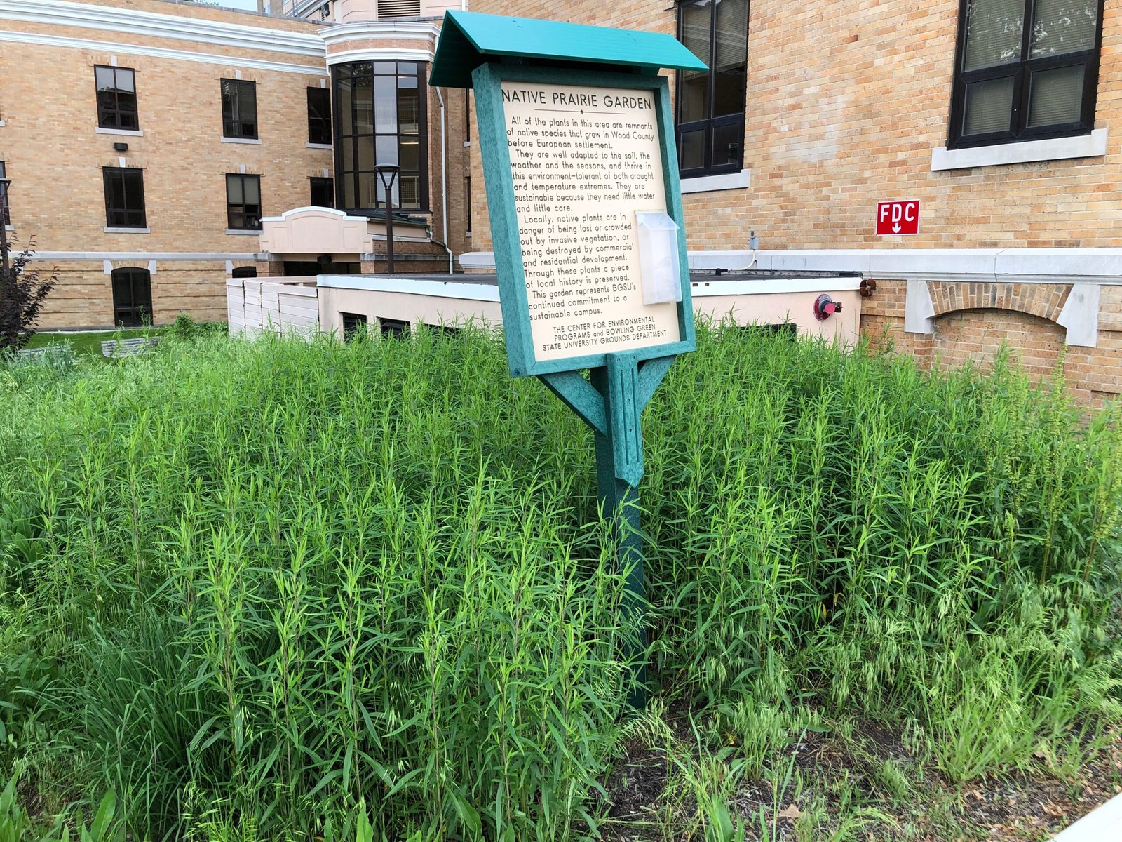 Designing Native Gardens for All Spaces (image credits: wikimedia)