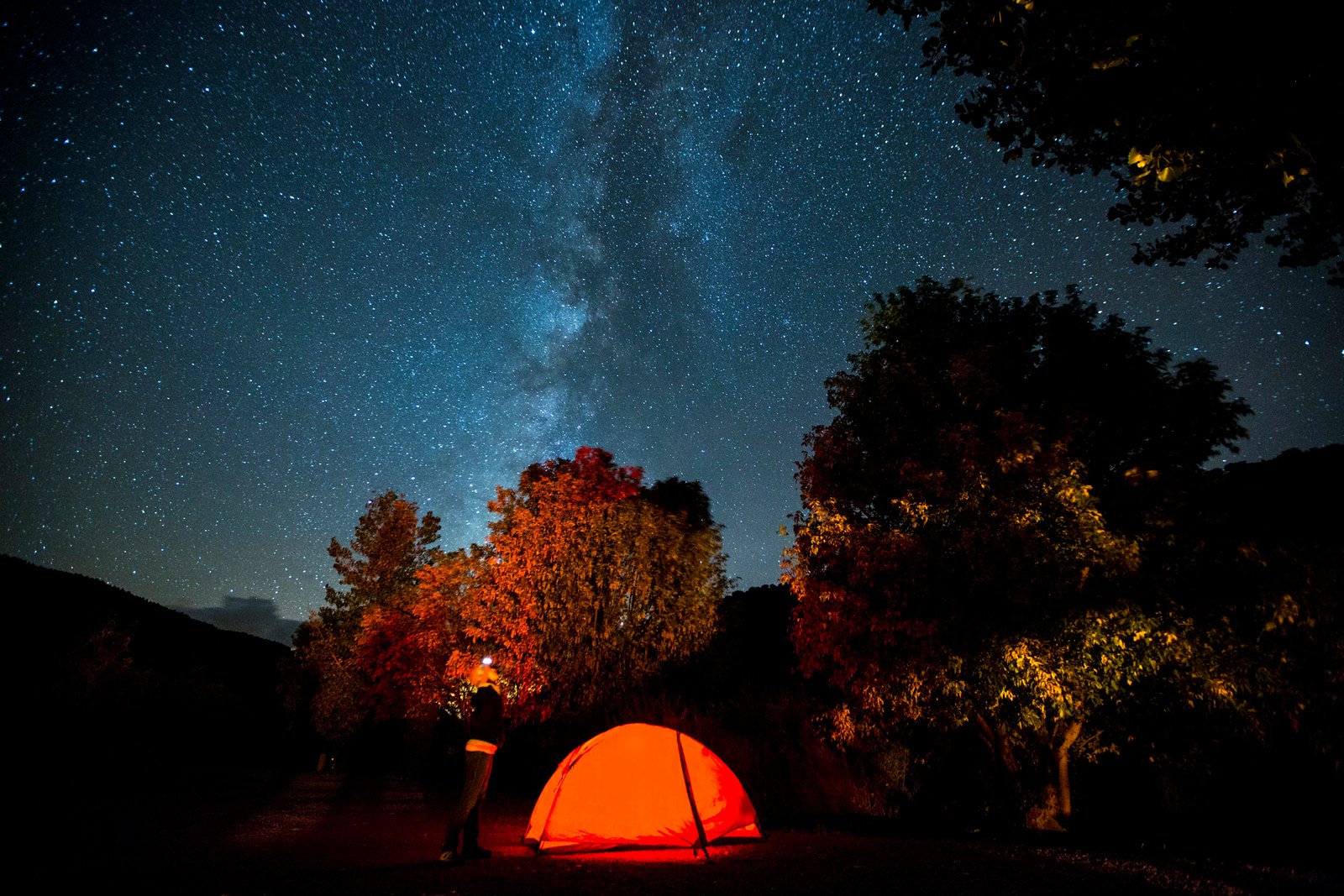 Why New Mexico? The Land of Enchantment Becomes the Land of Mystery (image credits: wikimedia)