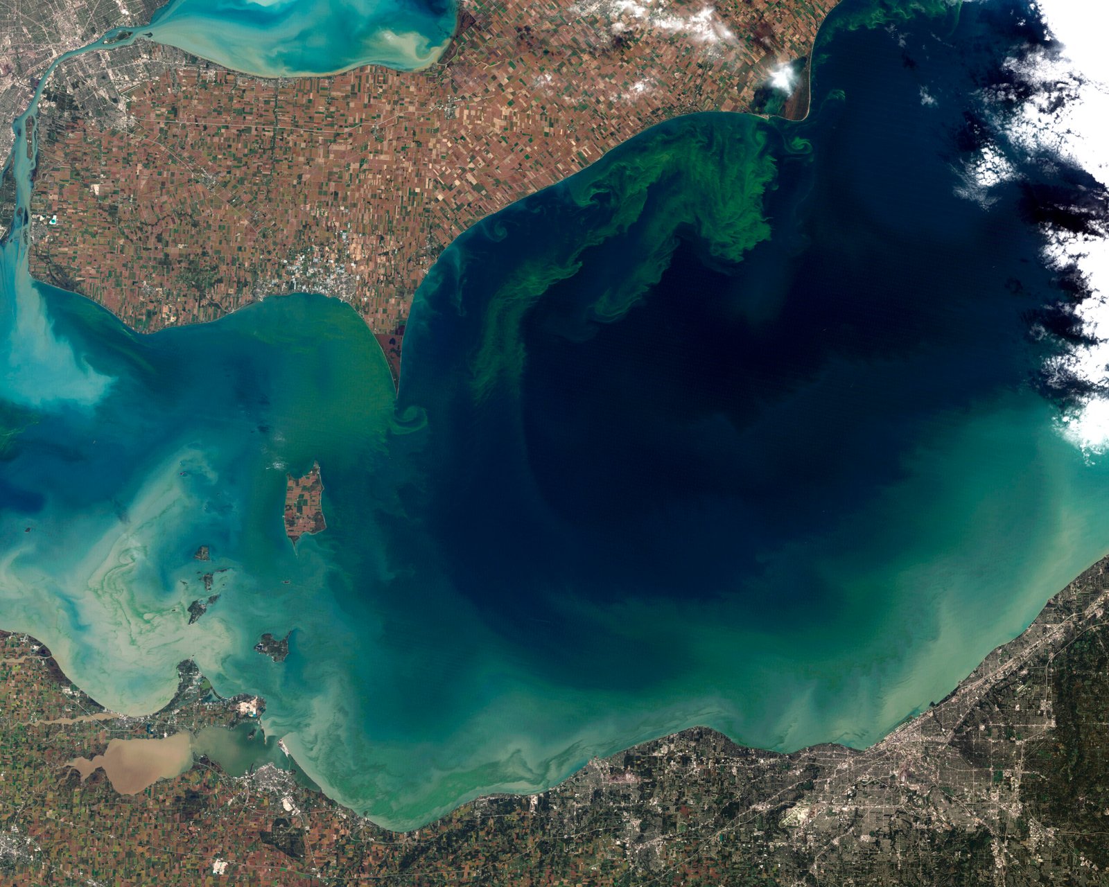 The Global Impact: Lessons for a Changing Planet (image credits: wikimedia)